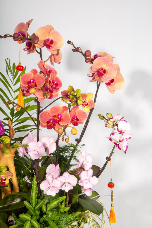 马上顺遂 商品图2