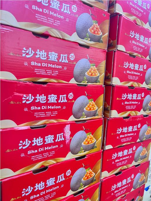 沙地蜜瓜一箱 商品图2