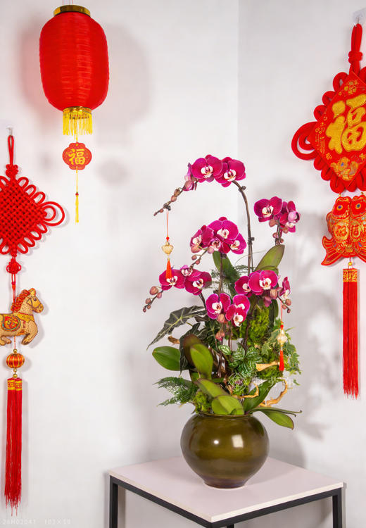 马驰家兴 商品图1