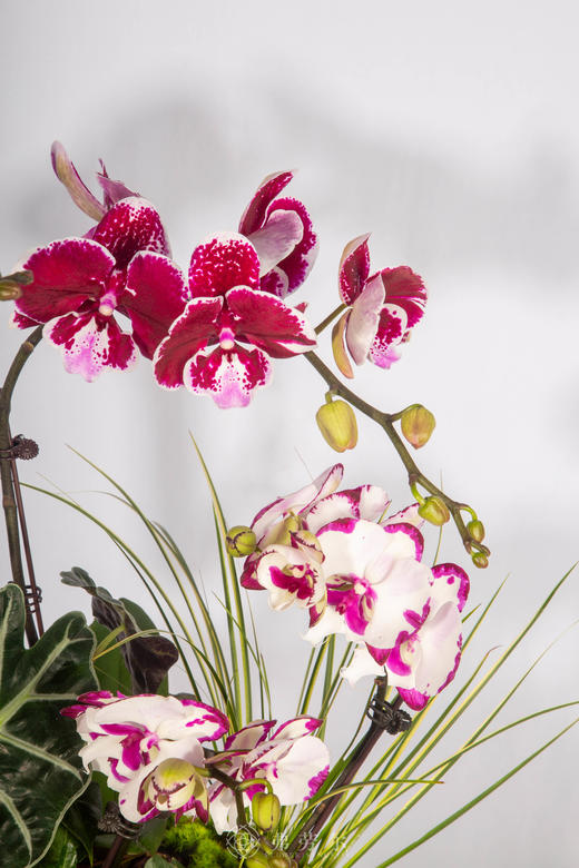 马跃华庭 商品图2