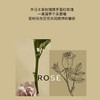 乐活田园花屿洄息玫瑰润唇膏 商品缩略图1