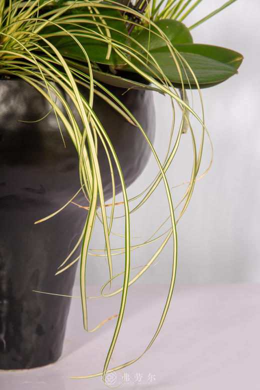 马跃华庭 商品图3