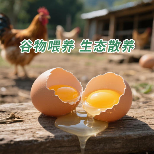 七里海散养柴鸡蛋30枚 商品图2