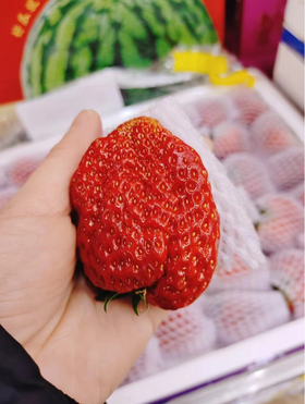 大板奶霸草莓一箱