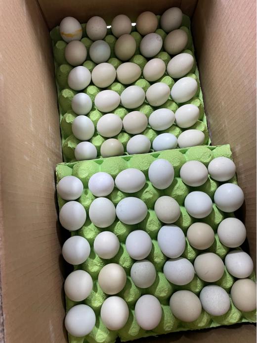 50枚绿皮鸡蛋 商品图2
