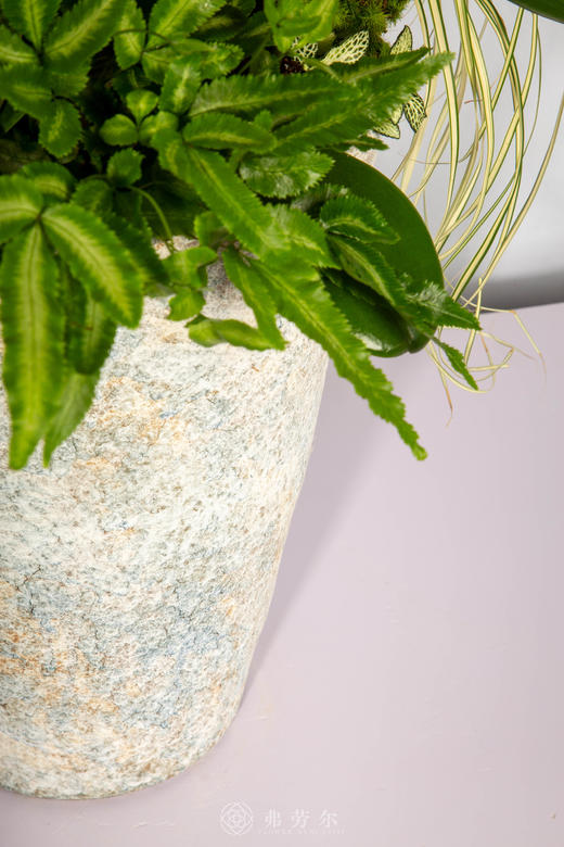 马上顺遂 商品图3