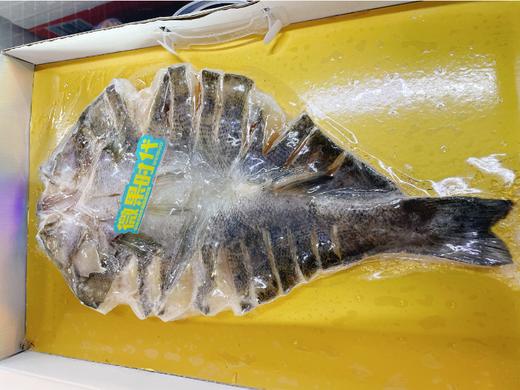 开背鲈鱼礼盒 商品图2