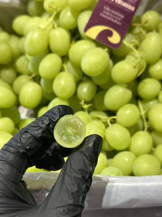 澳洲甜地球无籽青提400g 商品图0