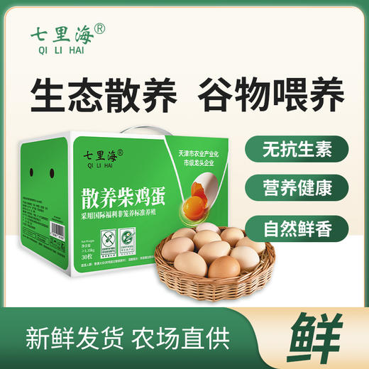 七里海散养柴鸡蛋30枚 商品图0