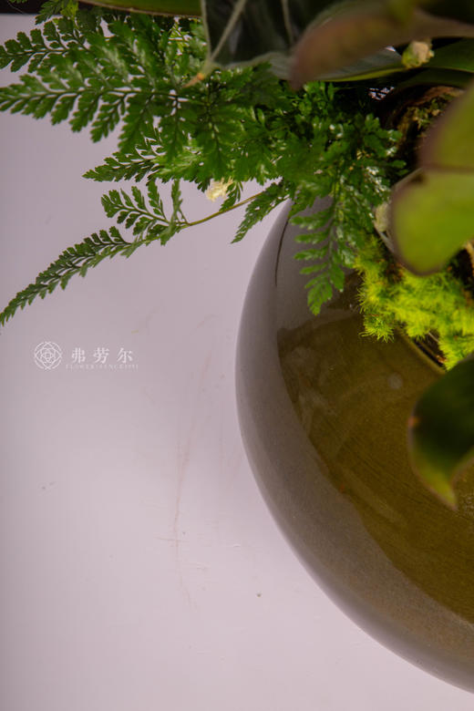 马驰家兴 商品图3