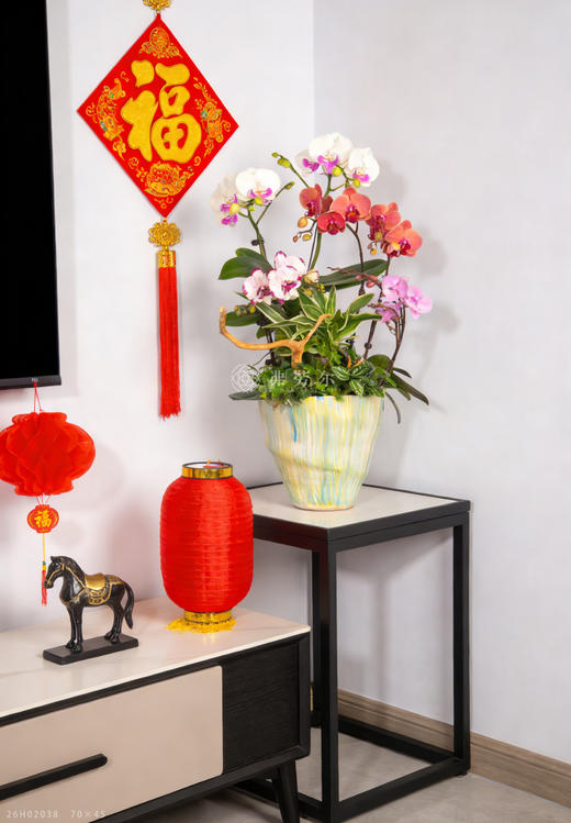 马上暴富 商品图1