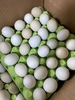 50枚绿皮鸡蛋 商品缩略图1