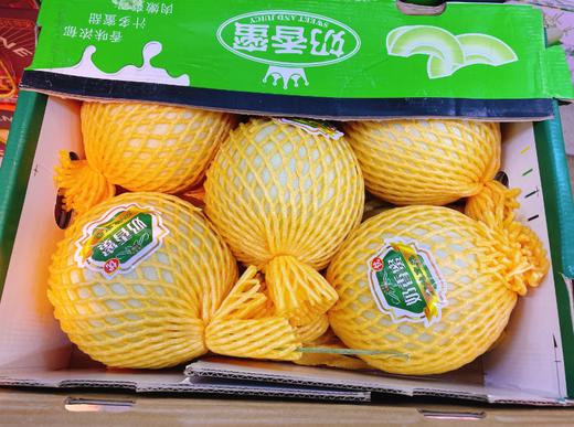 奶香蜜瓜一箱 商品图0