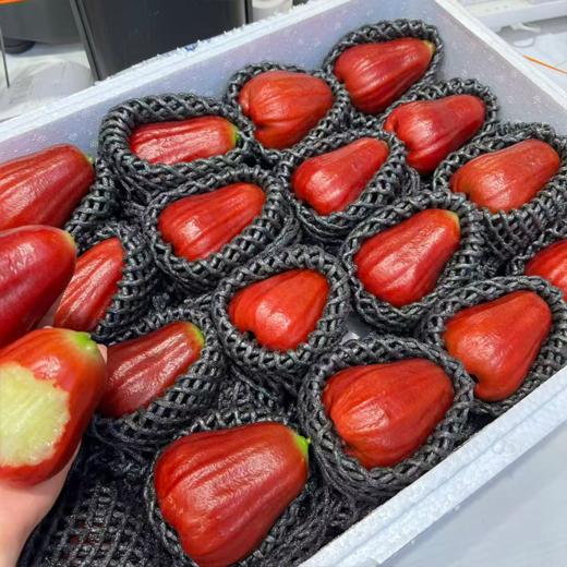 海南黑金刚莲雾 海南空运 好好吃的莲雾 商品图3