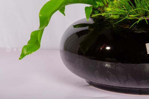 马鬃飞扬 商品图2