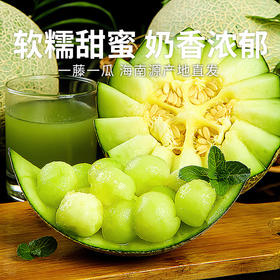 【海南牛三蜜瓜】软糯甜蜜奶香浓郁 脆甜多汁（2.10-2.24停发）