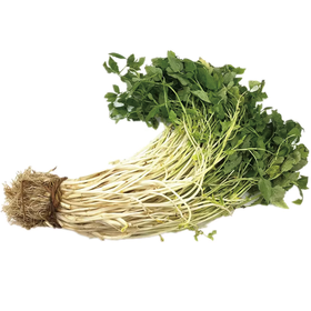芹芽 约450g-500g 单份 买放心菜就上瑞和泰