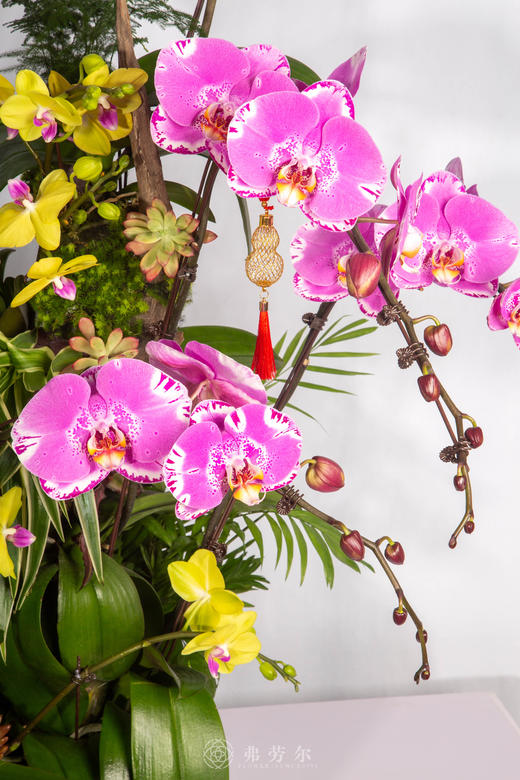 骏马驮春 商品图2