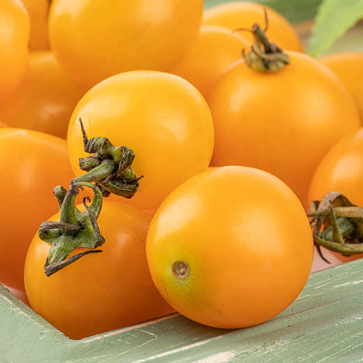 新鲜水果 芒果皇后千禧圣女果 1盒/净重2斤左右 商品图1