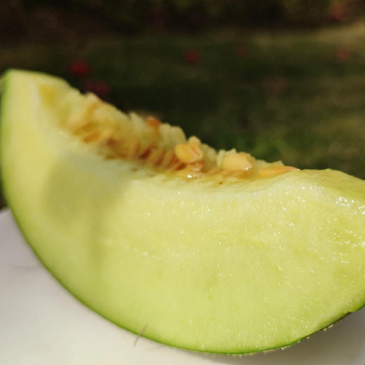 【海南牛三蜜瓜】软糯甜蜜奶香浓郁 脆甜多汁（2.10-2.24停发） 商品图4