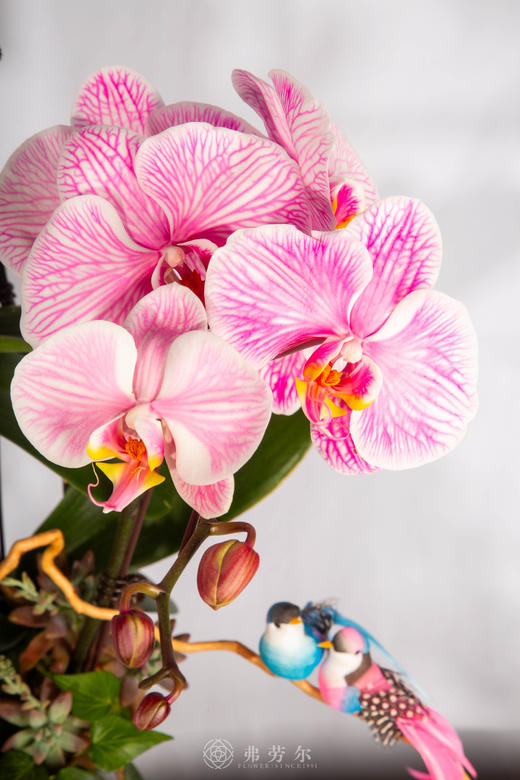 马驻吉祥 商品图2