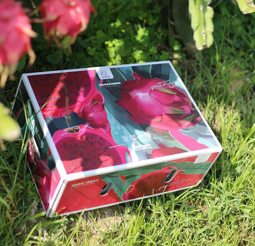 红心火龙果(金都一号5斤礼盒装 商品图0