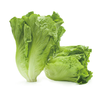 蚌埠生菜 约450g-500g 买放心菜就上瑞和泰 商品缩略图0