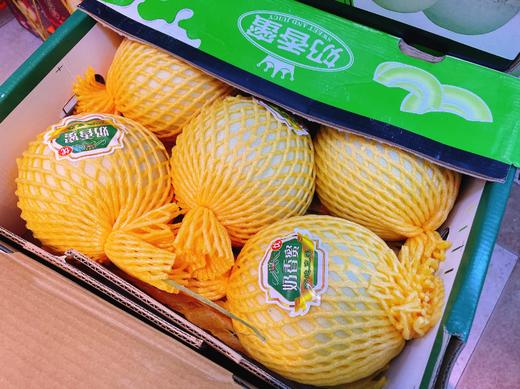 奶香蜜瓜一箱 商品图2