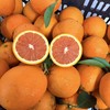本地红橙 5kg/份【LY】 商品缩略图0