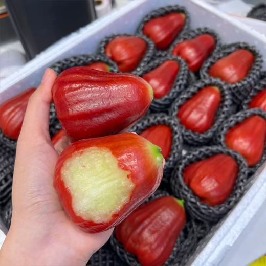 海南黑金刚莲雾 海南空运 好好吃的莲雾 商品图6