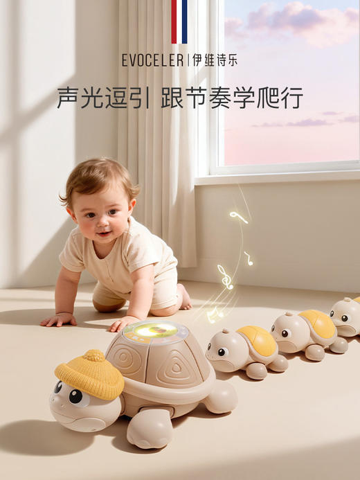 【evoceler伊维诗乐】乌龟爬行玩具礼盒（8件套） 商品图1