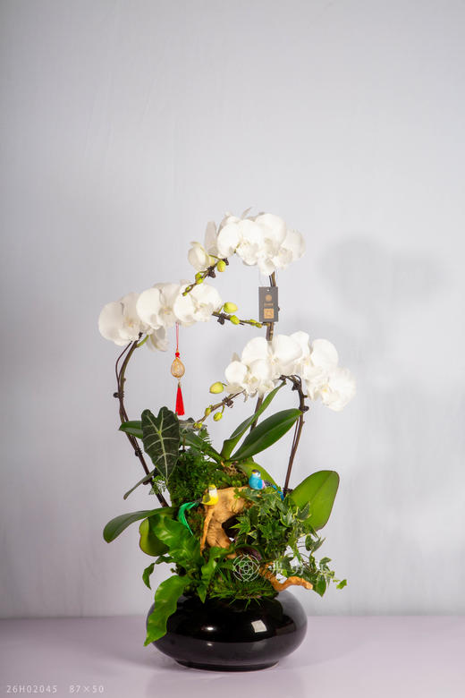 马鬃飞扬 商品图0