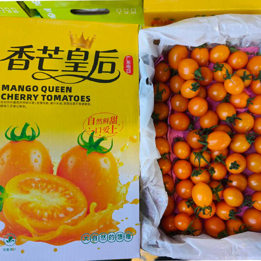 新鲜水果 芒果皇后千禧圣女果 1盒/净重2斤左右 商品图5