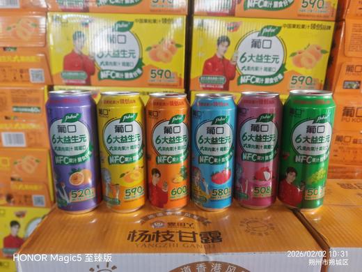 葡口6大益生元NFC大肉果汁490ml*15罐 商品图0