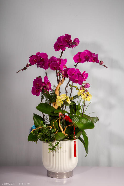 马贺丰年 商品图2