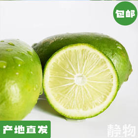 【有机香水柠檬｜云南红河【Y】