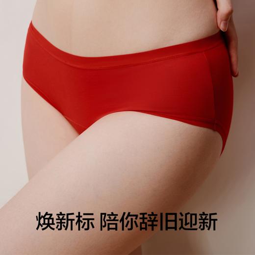 【有棵树莫代尔中腰莫内裤】含桑蚕丝裆 柔滑滋润肌肤 守护新年顺遂安康 商品图1