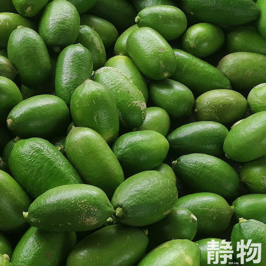 有机香水柠檬｜云南红河 商品图8