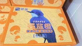 【下架】【自提】晏蓝橙 礼盒 4kg