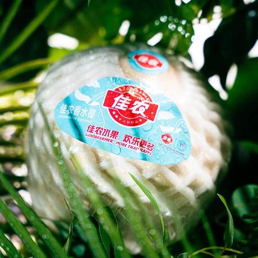 新鲜水果  泰国精品椰青 1枚 商品图2