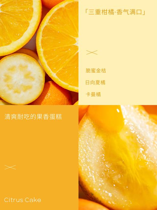 【春日新品】日向夏柑橘奶油蛋糕 三重柑橘香气 商品图2