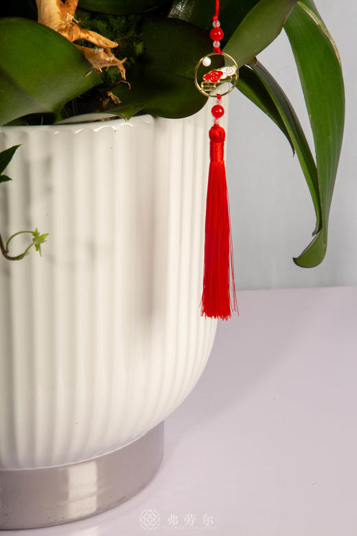 马贺丰年 商品图4