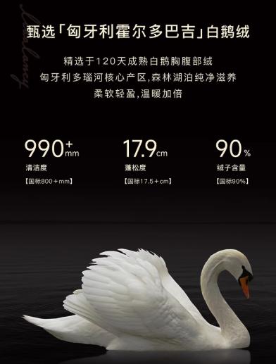 朗姿 【匈牙利白鹅绒】百搭抽绳收腰连帽羽绒服LAJH02OYC422 商品图7