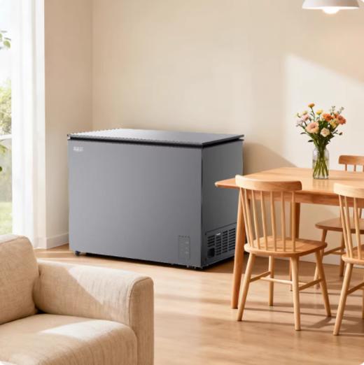 美菱（252280）205升风冷变频无霜王银河灰钢板冷柜BC/BD-205WDTPC 商品图0