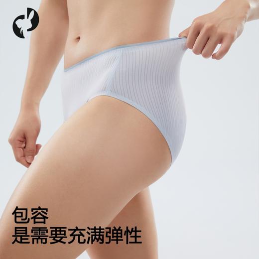 【3条装】象&兔女士内裤 女士超薄条纹冰丝内裤 T-I3 商品图5