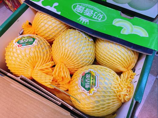 3A奶香蜜瓜一箱 商品图2