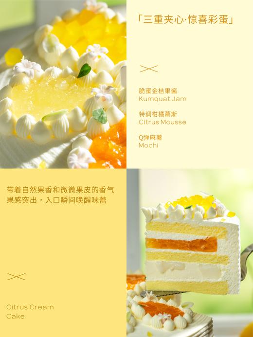 【春日新品】日向夏柑橘奶油蛋糕 三重柑橘香气 商品图3