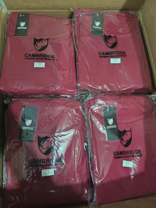 现货 无折扣 年终福利..出韩国🇰🇷女士加绒磨毛保暖套装 商品图2