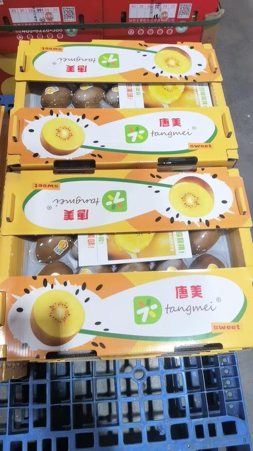 【下架】【自提】唐美猕猴桃金果卡板（18粒） 商品图0