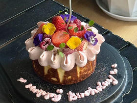 春日漫游巴斯克芝士生日蛋糕